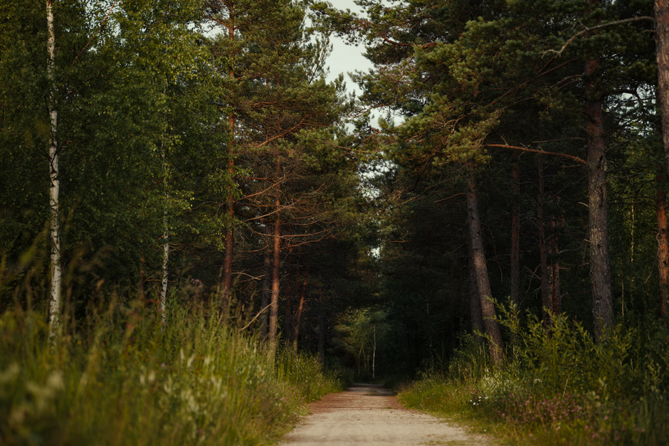 How A Balanced Approach To Wellness Fits a Real Routine, for Real Life