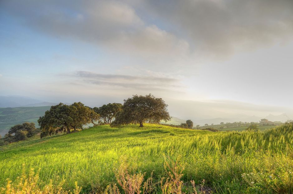 A Gentler Way to Approach Health As A Daily Practice, for Real Life