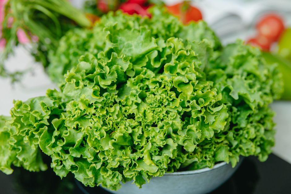 A Gentler Way to Approach Iron, B12 And The Nutrients Worth Testing, Made Simple