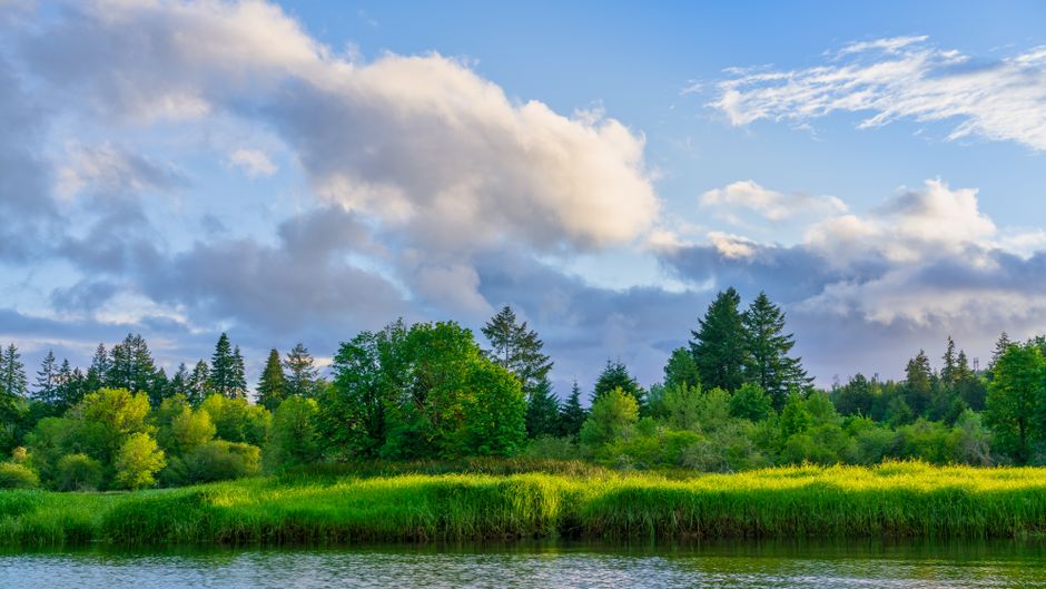 A Kinder Approach to Wellness Without Perfectionism