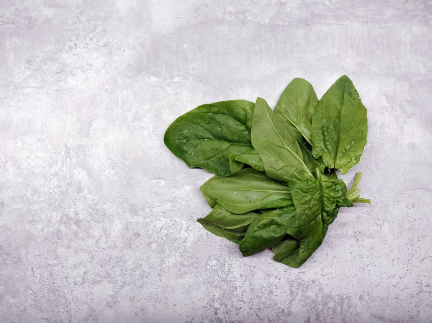 A Practical Take on Iron, B12 And The Nutrients Worth Testing, Explained Simply