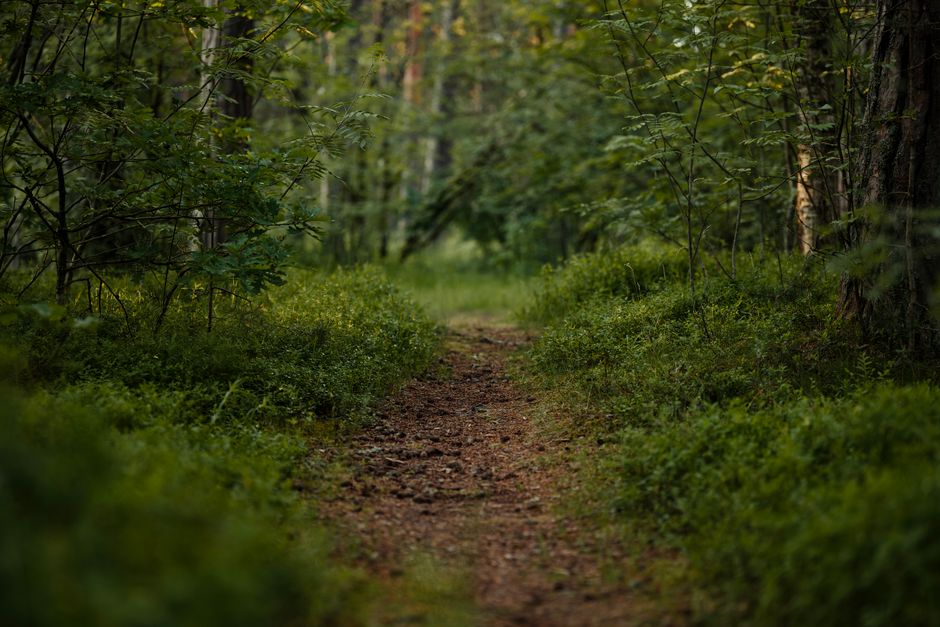 A Sensible Look at Health Over A Lifetime, Not A Season, Step by Step