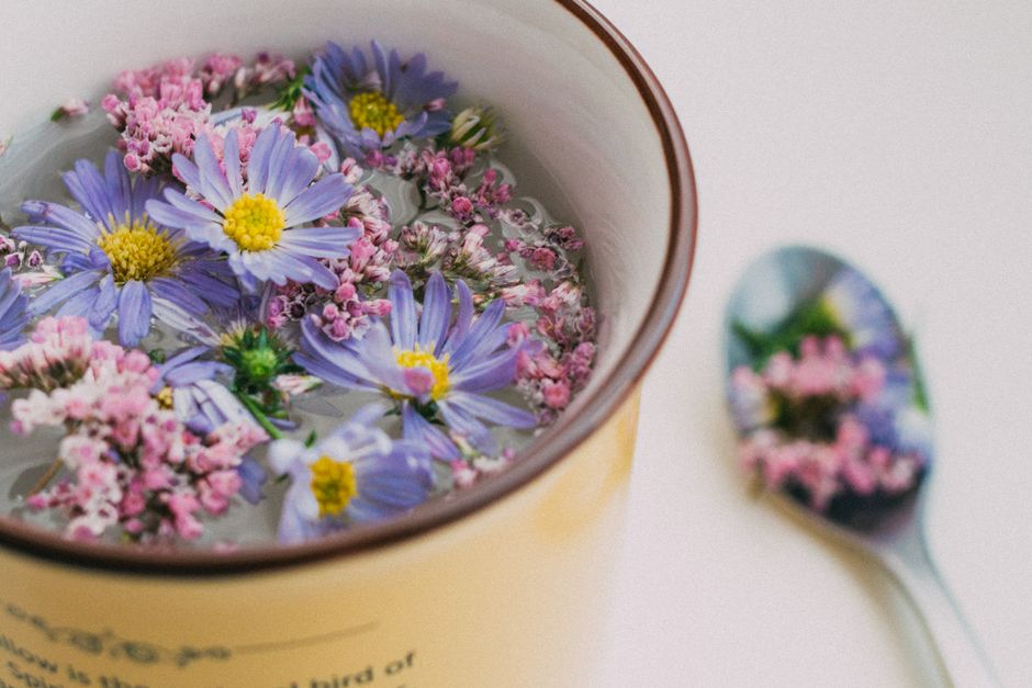 A Slower Approach to Health Advice Online And How To Weigh It, Minus the Overwhelm
