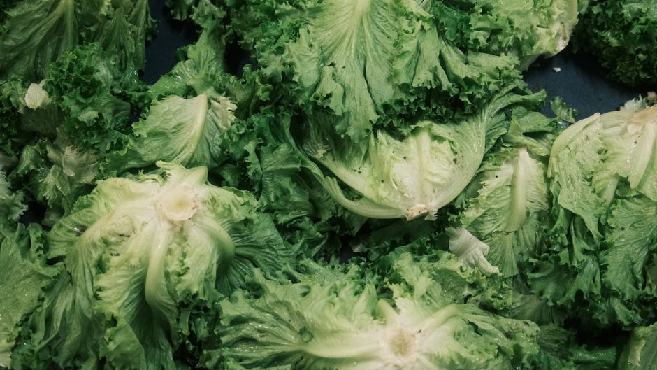 A Slower Approach to What Supplements Can And Cannot Do, Step by Step
