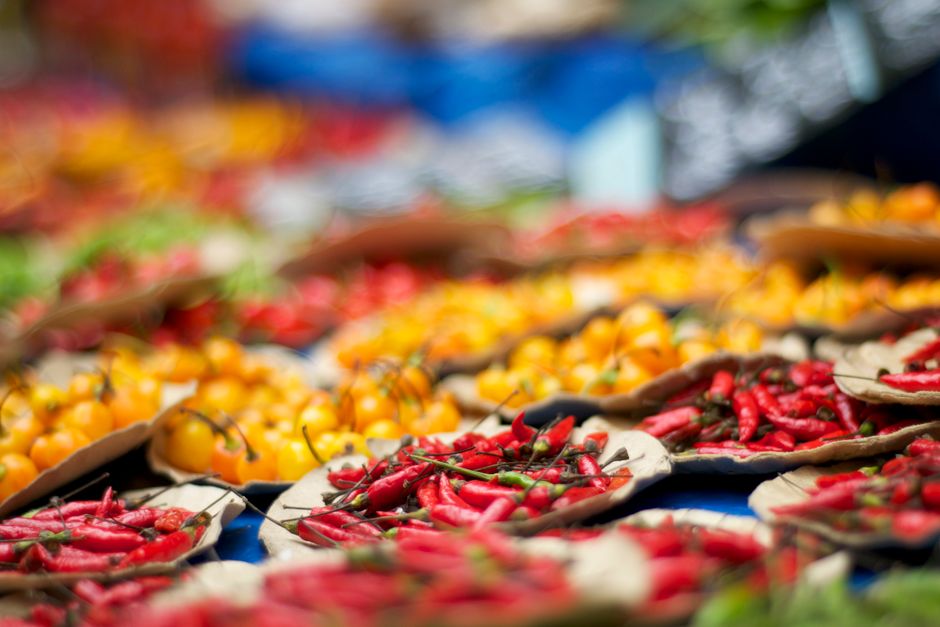 A Step-by-Step Look at The Many Meanings Of A Healthy Diet, Day by Day