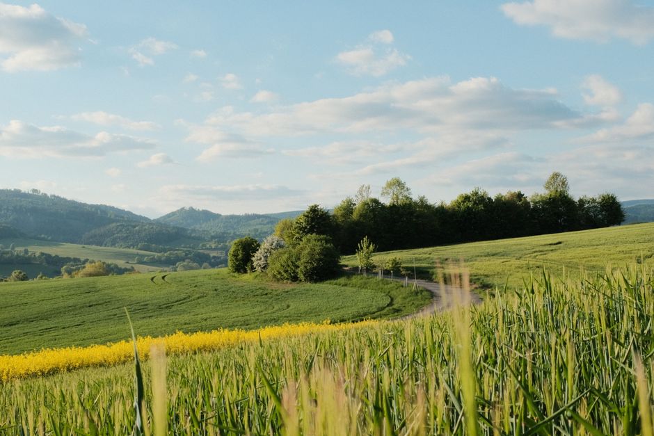 Coming Back to Stress: Signal, Response And Recovery, Without Overthinking It