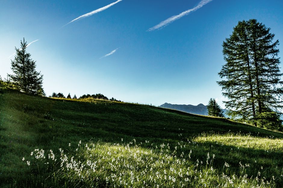 Coming Back to Wellness Without Perfectionism