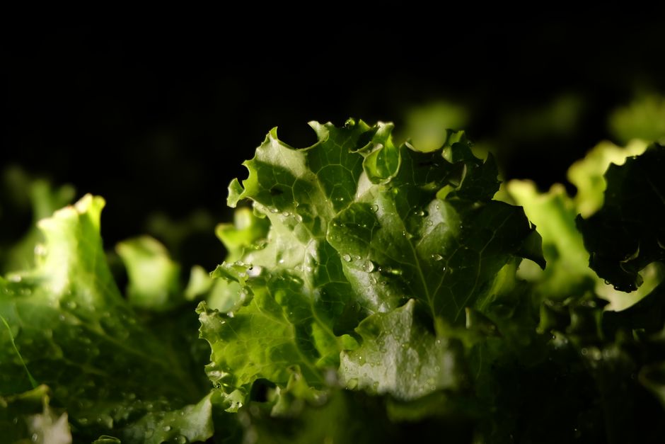Everyday Habits Built Around Sustainable Weight Change Versus Crash Diets, the Honest Way
