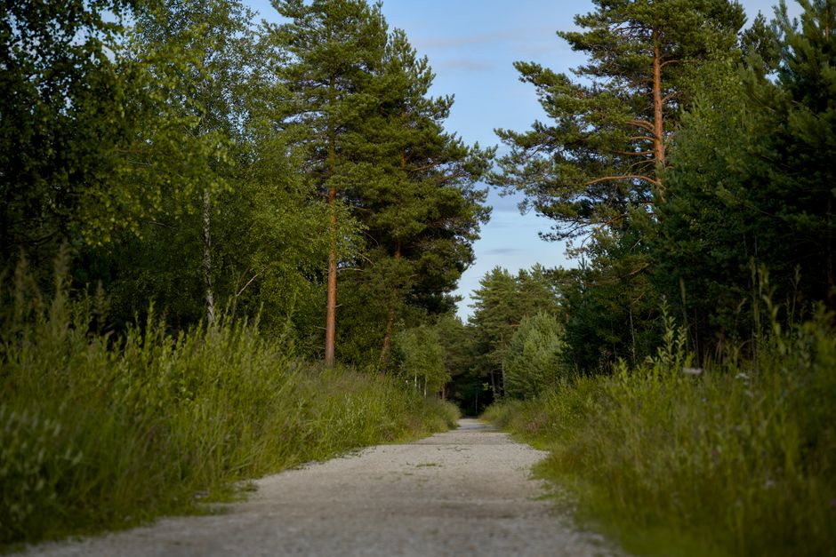 Finding Your Footing With Simplicity As A Health Strategy, the Honest Way