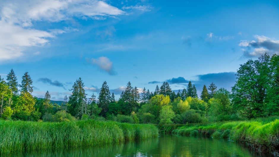 Where to Begin With Understanding Health And Wellness, Explained Simply