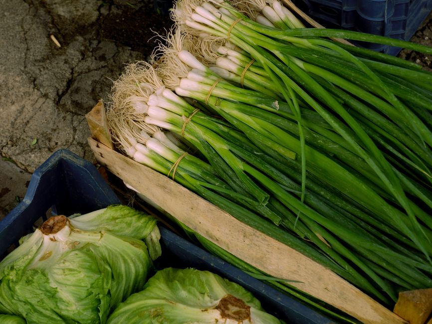 Health Through The Seasons Without the Guesswork, Made Simple