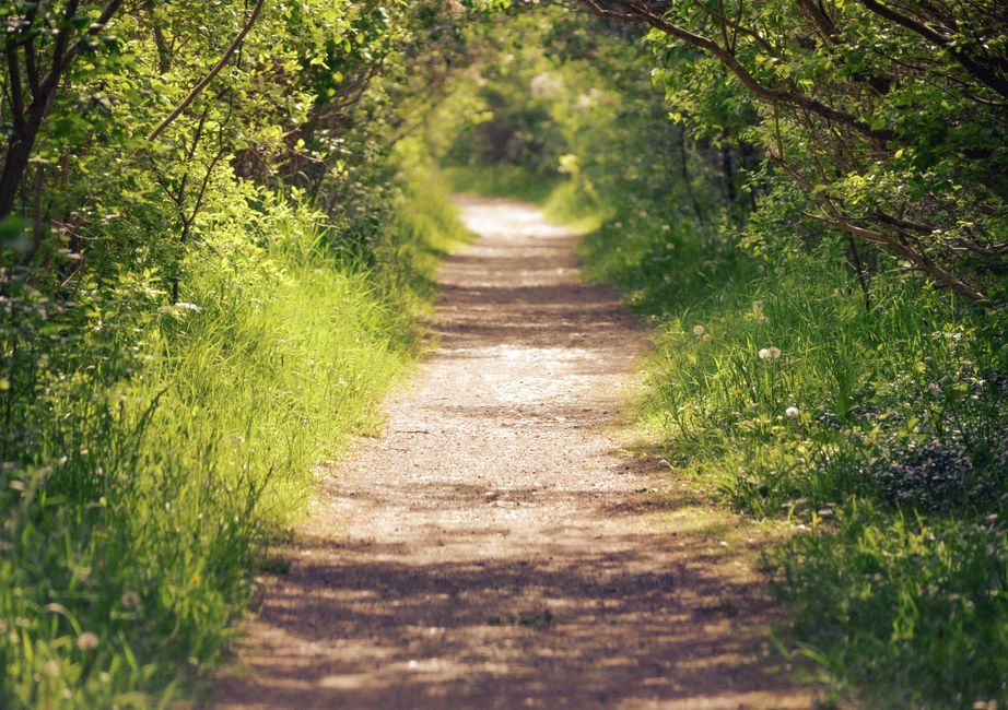 How Starting Over Without Starting From Scratch Fits a Real Routine, Starting Today