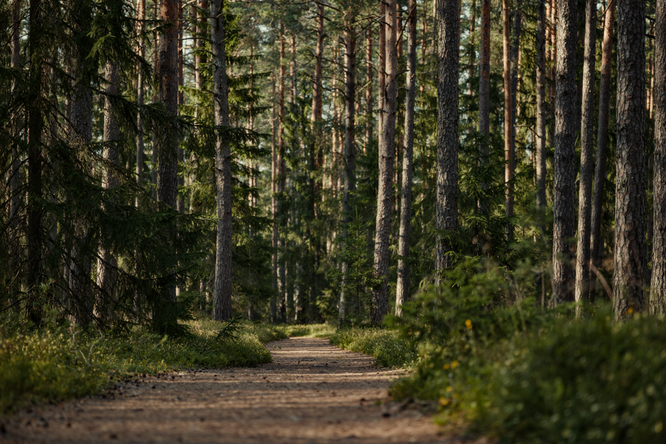 How to Stay Consistent With Living A Healthy Lifestyle, in Plain Language