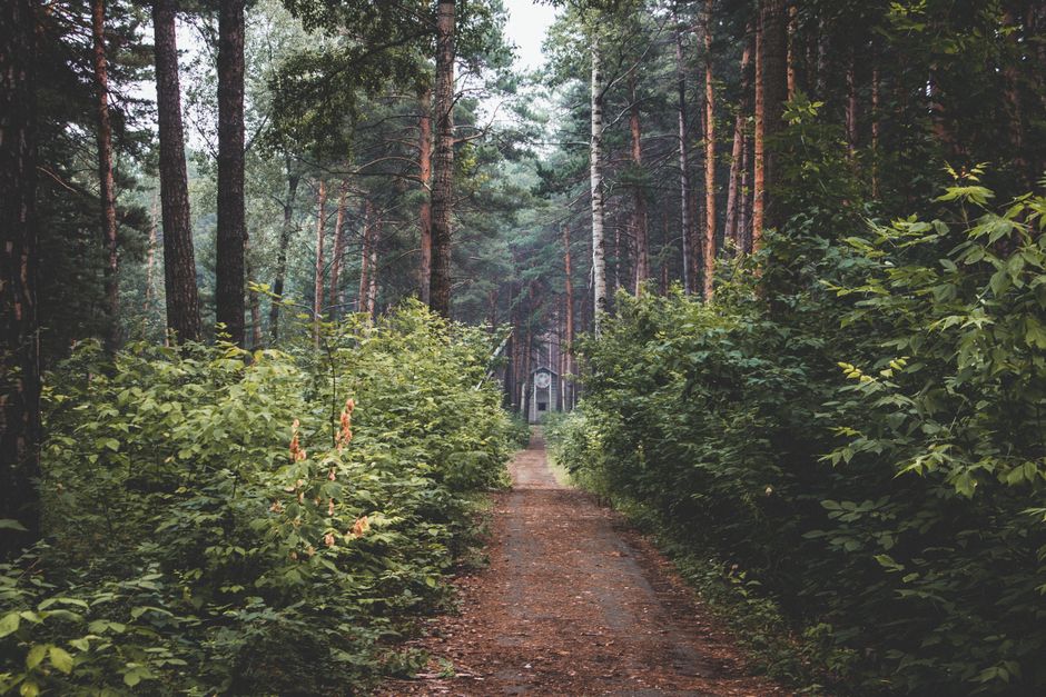 How Tracking, Measuring And When To Stop Fits a Real Routine, Without Overthinking It