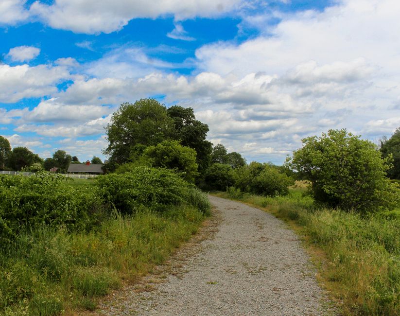 How Walking: The Most Underrated Exercise Fits a Real Routine, for Real Life