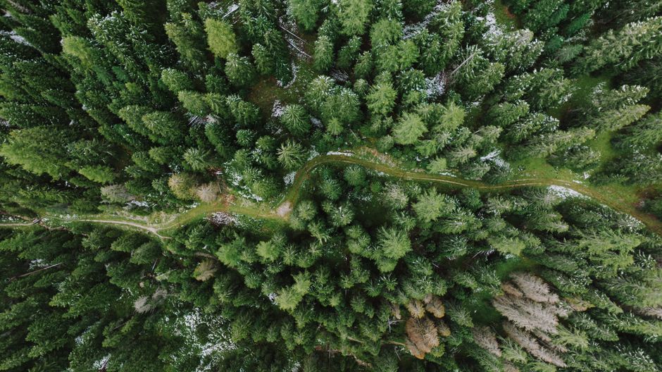 Rethinking Health Over A Lifetime, Not A Season, Made Simple