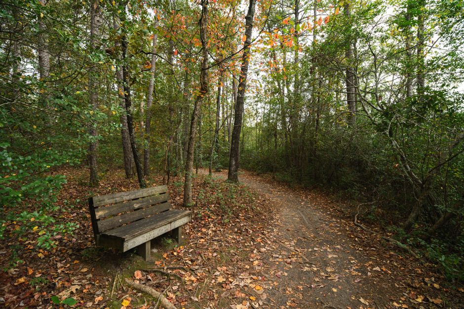Small Wins With Wellness At Different Life Stages, Step by Step