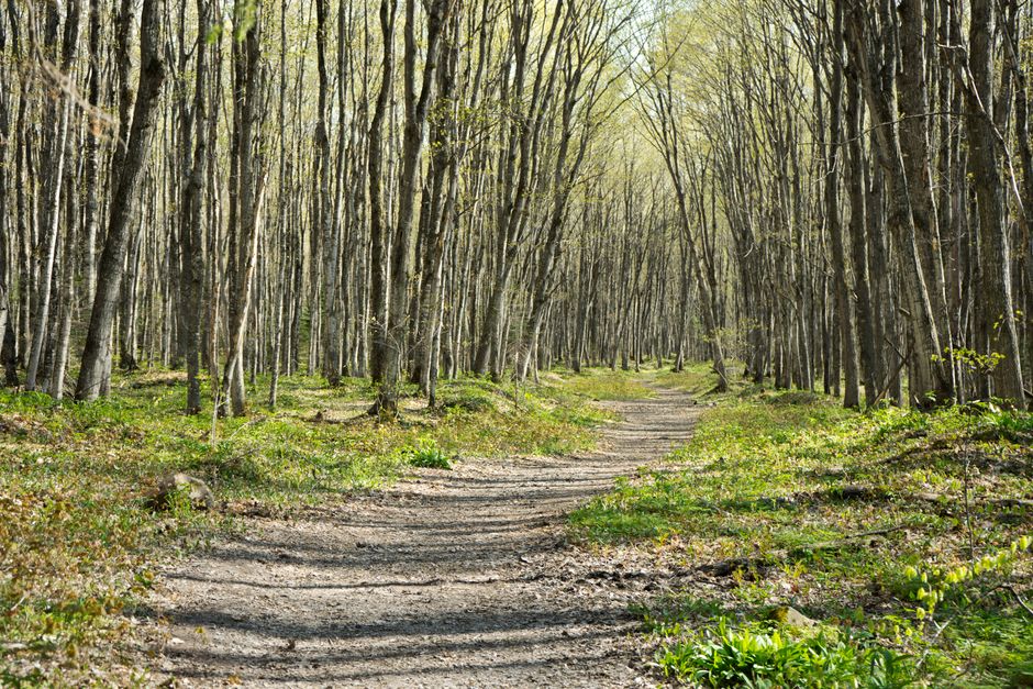 The Case for A Balanced Approach To Wellness, Explained Simply