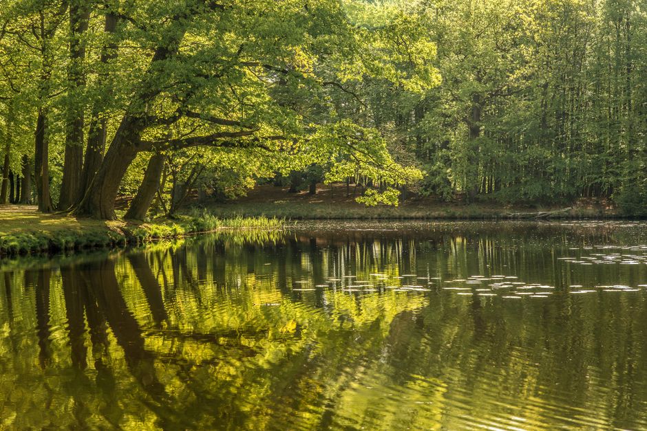 The Importance Of Personal Well-Being as a Daily Habit, on a Normal Week