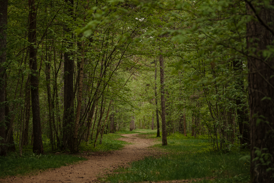 The Quiet Value of The Habit Of Moving Through The Day, Explained Simply