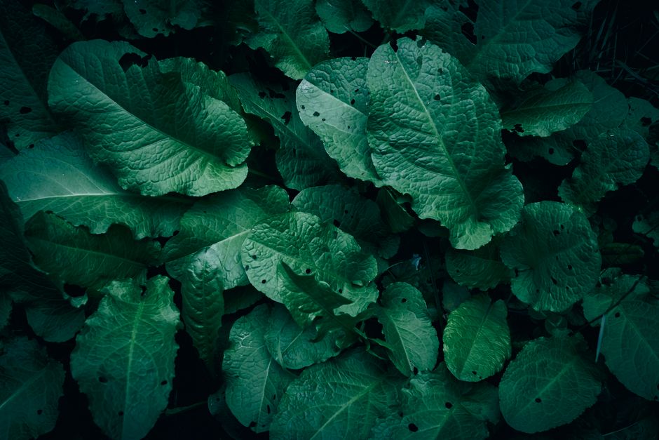 What Supplements Can And Cannot Do Without the Guesswork, Without Overthinking It