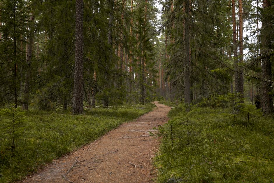 Where People Go Wrong With Creating Healthy Long-Term Habits, Day by Day