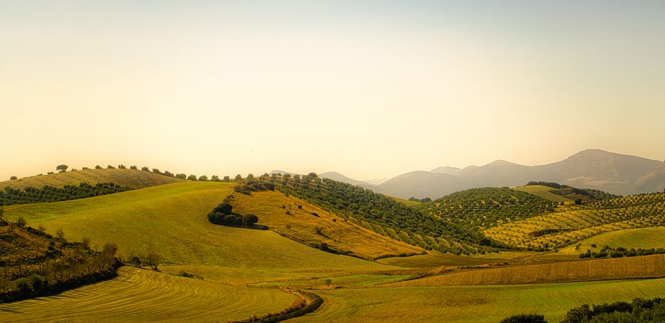 Where to Begin With Health And Uncertainty