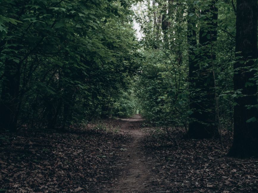 Where to Begin With Why Consistency Beats Intensity, Explained Simply